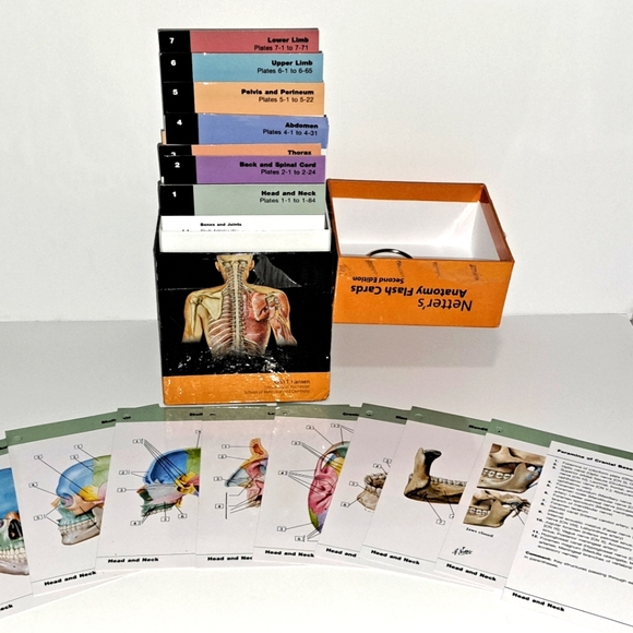 Netters Anatomy Flash Card's Other Netters Anatomy Flash Cards 2nd Edition By John T Hansen